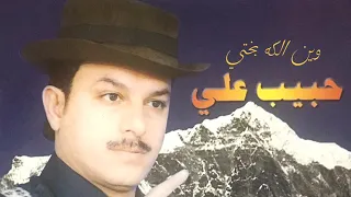 حبيب علي وين الكه بختي 