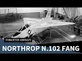 How Northrop Grew its Teeth The N-102 Fang