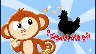 شو هذا الصوت اصوات الحيوانات اغنية اطفال كتاكيت بيبي 2024 