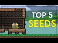 Top 5 CRAZIEST Terraria Seeds