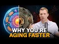 4 Things Killing Your Cells And 5 Levers That Reverse It