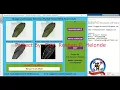 Mango Leaf Disease Detection Using Image Processing With Source Code Matlab Project Plant Disease