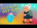Download Lagu Why Do We Get Old? The Dr. Binocs Show | Best Learning Videos For Kids | Peekaboo Kidz