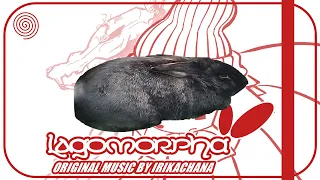 Happy Rabbit Original Irikachana 