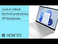 How to Lock or Unlock the Fn Function Key on an HP Notebook HP Support