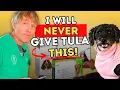 WARNING 5 Flea Tick Products with Alarming Side Effects Better Natural Alternatives Included