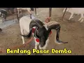 Lagu Domba Gagah masuk pasar . Jadi bentang pasar Andir Bayongbong