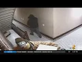 Police Fake UPS Delivery Man Robs Bronx Family At Gunpoint Ties Up Children