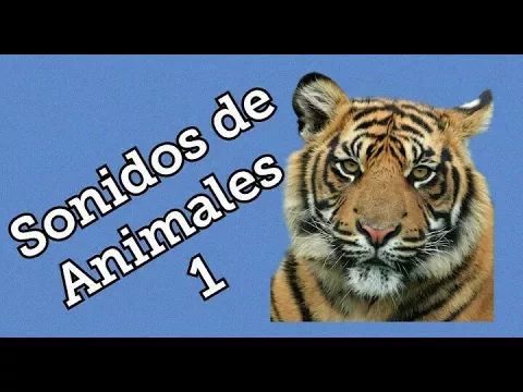 Download MP3 Animals Sounds For Your Videos