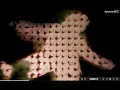 Kinect 360 Touc esigner