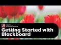Getting Started with Blackboard