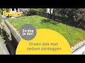 Zelf een sedumdak aanleggen | Groen dak stappenplan Praxis