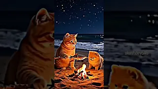 شسولفلك على الفراك افلام لايك اهميه 