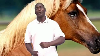 joseph shisia ali mwoyo