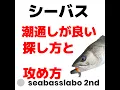 Channel