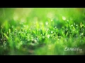 Carbon Based Lifeforms - Interloper (Full Album)