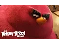 The Angry Birds Movie - Clip Meet Terence