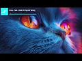 Download Lagu Hixxy - Take A Look (DJ Spyroof Remix)