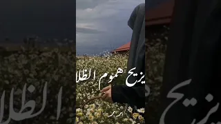 ايا وجه صبحا يبث الهيام ɴᴏ ᴍᴜꜱɪᴄ بدون موسيقي 