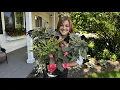Pretty Window Box Flowers for Shade a Few Full Sun Containers Garden Answer
