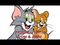 TOM AND JERRY python turtle programming