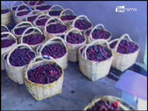 Ecuador Agropecuario 11-07-2017