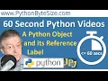 A Python Object and its Reference Label