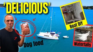 “From Mountain Views To Tasty Chews 🐕 – Our Wild Boat Life”