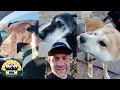These 3 beautiful dogs had trouble getting adopted so we brought them home Lee Asher