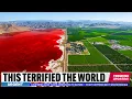 California Gave 15 000 Acres Back to Nature What Happened Next Was Incredible