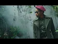 Tekno Ft Flavour - Faraway (Official Video)