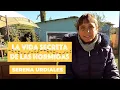 Lagu HORMIGAS: de enemigas a aliadas | Serena Urdiales lo explica