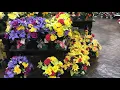 Prairie Gardens Jeffrey Alans Memorial Designs