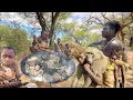 Download Lagu Discover Bushmen Survival Skills, So Wild You Won’t Believe They’re Real // RAW and UNCUT