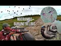 Download Lagu 🔴NGERAMBO BELIBIS // BERBURU BELIBIS KONAWE SPOT ANTI ZONK