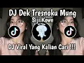 Download Lagu DJ DEK TRESNOKU MUNG SIJI KOWE LANGIT BUMI KANG DADI SAKSINE VIRAL TIKTOK