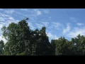 Military helicopter hovering over my house