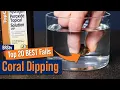Download Lagu Top Coral Dipping Mistakes! Don't Try These At Home With Your Reef Tank Corals.