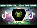 Download Lagu DJ HIDDING REMIX PAK CEPAK CEGER \
