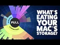 What s Eating Your Mac s Storage Two Apps Know - I Tried Free vs Paid