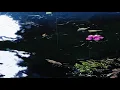 kojo funds - my 9ine﹝slowed + reverb﹞