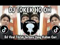 Download Lagu DJ TOKEK HO OH SLOWED TREND TIKTOK MIKIR KIDS || DJ SOUND SUARA TOKEK HOK OH VIRAL TIKTOK TERBARU
