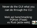 Web api benchmarking Python Flask vs Rust actix-web