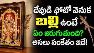 దేవుడి ఫోటో వెనుక బల్లి ఉంటే ఏం జరుగుతుంది? | Lizards In Home |  Balli Jyotishyam telugu