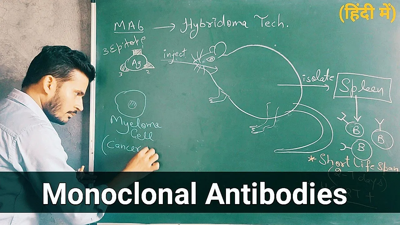 Monoclonal antibodies part 2 || Hybridoma Technology
