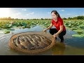 Download Lagu Big Fish Harvest Day | Market Life in the Countryside | Lý Thị Linh