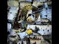 Equilibrium - Erik Bashore