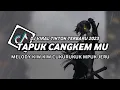 Download Lagu DJ KIW KIW MPUK JERU X TAPUK CANGKEM MU VIRAL TIKTOK