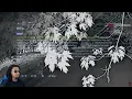 Reacting To 6 Most Disturbing Reddit Threads Pt 2