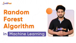 Random Forest Explained Random Forest Algorithm in Machine Learning Data Science Intellipaat